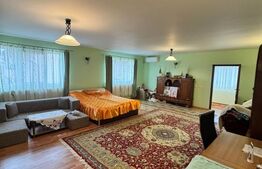 CASĂ DE VIS SAU AFACERE DE SUCCES – BAIA SPRIE