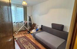 CASĂ DE VIS SAU AFACERE DE SUCCES – BAIA SPRIE