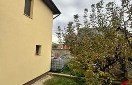 CASĂ DE VIS SAU AFACERE DE SUCCES – BAIA SPRIE