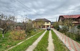 CASĂ DE VIS SAU AFACERE DE SUCCES – BAIA SPRIE