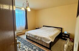 CASĂ DE VIS SAU AFACERE DE SUCCES – BAIA SPRIE