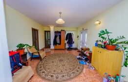 CASĂ DE VIS SAU AFACERE DE SUCCES – BAIA SPRIE