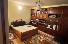 CASĂ DE VIS SAU AFACERE DE SUCCES – BAIA SPRIE