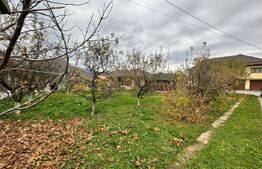 CASĂ DE VIS SAU AFACERE DE SUCCES – BAIA SPRIE