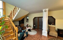 CASĂ DE VIS SAU AFACERE DE SUCCES – BAIA SPRIE