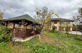 CASĂ DE VIS SAU AFACERE DE SUCCES – BAIA SPRIE