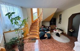 CASĂ DE VIS SAU AFACERE DE SUCCES – BAIA SPRIE