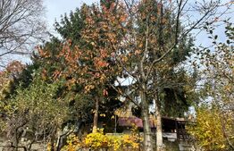 Casă modernă cu priveliște panoramică – ideală pentru investiție turistică