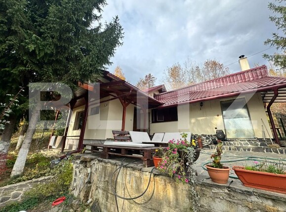 Casa de vânzare 4 camere Tautii de Sus - 181459CV | BLITZ Baia Mare | Poza3