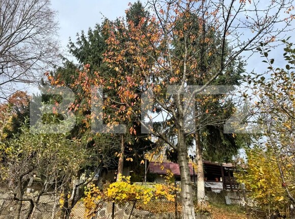 Casa de vânzare 4 camere Tautii de Sus - 181459CV | BLITZ Baia Mare | Poza14