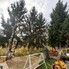 Casa de vânzare 4 camere Tautii de Sus - 181459CV - Poza 1 din 25 | BLITZ Baia Mare | Poza11