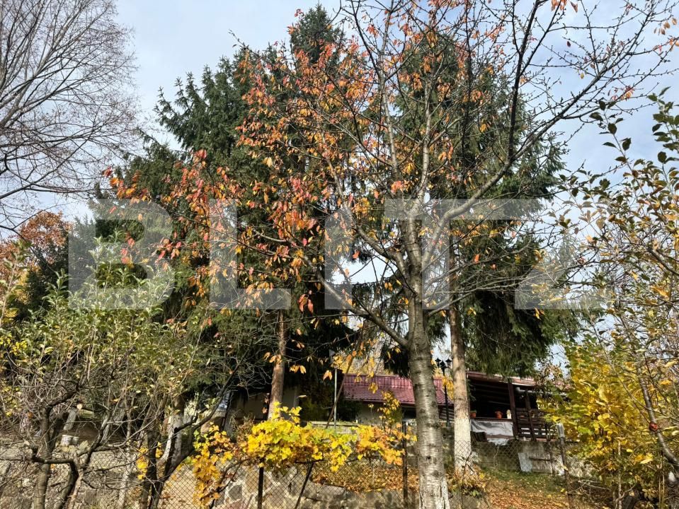 Casa de vânzare 4 camere Tautii de Sus - 181459CV | BLITZ Baia Mare | Poza14