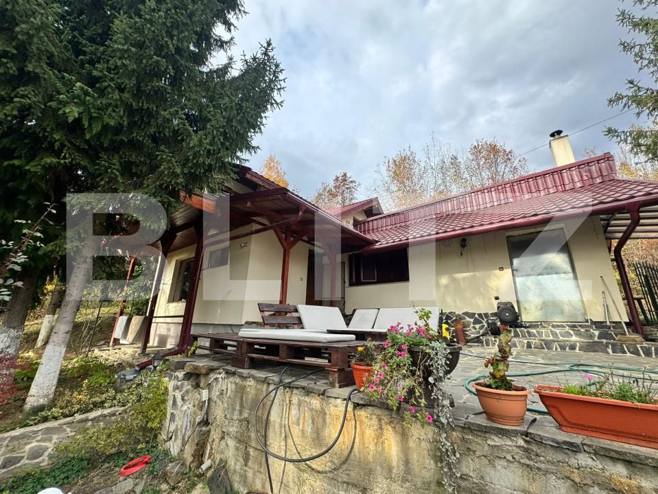 Casa de vânzare 4 camere Tautii de Sus - 181459CV | BLITZ Baia Mare | Poza3