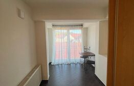 Apartament 1 camera, 55 mp, zonă Centrală 