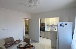 Apartament 1 camera, 55 mp, zonă Centrală 