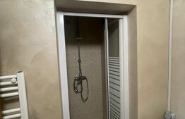 Apartament 1 camera, 55 mp, zonă Centrală 