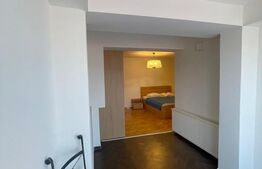 Apartament 1 camera, 55 mp, zonă Centrală 