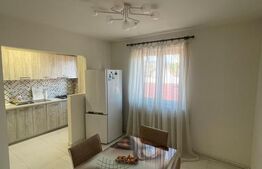 Apartament 1 camera, 55 mp, zonă Centrală 