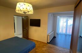 Apartament 1 camera, 55 mp, zonă Centrală 