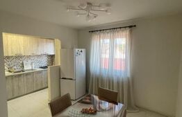 Apartament 1 camera, 55 mp, zonă Centrală 