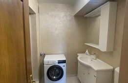 Apartament 1 camera, 55 mp, zonă Centrală 