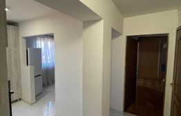 Apartament 1 camera, 55 mp, zonă Centrală 
