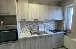 Apartament 1 camera, 55 mp, zonă Centrală 