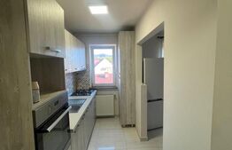 Apartament 1 camera, 55 mp, zonă Centrală 