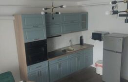 Apartament de închiriat 2 camere Vasile Alecsandri - 188323AI | BLITZ Baia Mare | Poza3