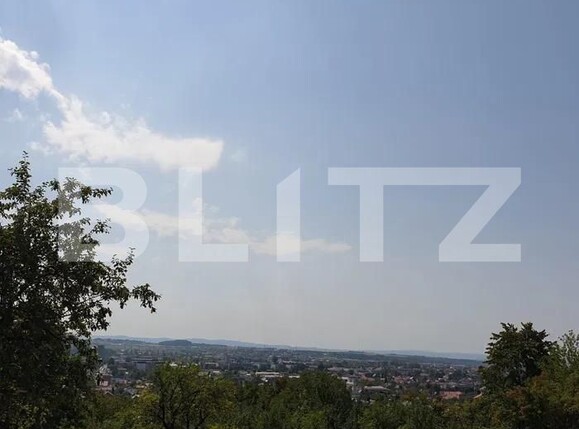 Teren de vânzare Grivitei - 181815TV | BLITZ Baia Mare | Poza2