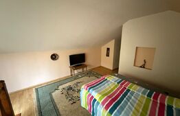 Casă cu garaj și 2 șeminee, lângă Parcul Mare – Str. Victoriei, Baia Mare