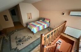 Casă cu garaj și 2 șeminee, lângă Parcul Mare – Str. Victoriei, Baia Mare