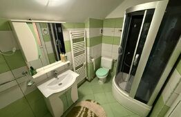 Casă cu garaj și 2 șeminee, lângă Parcul Mare – Str. Victoriei, Baia Mare