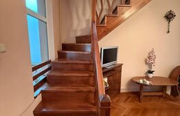 Casă cu garaj și 2 șeminee, lângă Parcul Mare – Str. Victoriei, Baia Mare