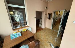 Casă cu garaj și 2 șeminee, lângă Parcul Mare – Str. Victoriei, Baia Mare