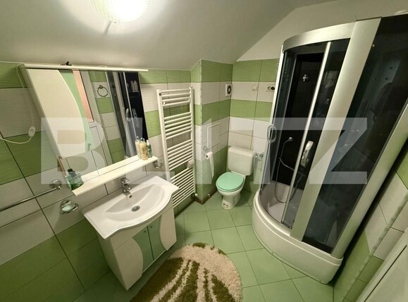 Casa de vânzare 3 camere Orasul Vechi - 181906CV | BLITZ Baia Mare | Poza13