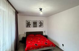 Apartament 2 camere, 46.60 mp, zona Independentei