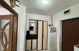 Apartament 2 camere, 46.60 mp, zona Independentei