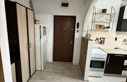 Apartament 2 camere, 46.60 mp, zona Independentei