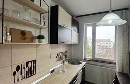 Apartament 2 camere, 46.60 mp, zona Independentei