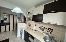 Apartament 2 camere, 46.60 mp, zona Independentei