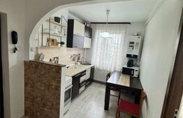 Apartament 2 camere, 46.60 mp, zona Independentei