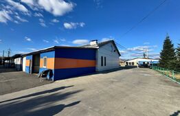 SERVICE AUTO Ultramodern (Business ultraprofitabil 