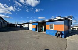 SERVICE AUTO Ultramodern (Business ultraprofitabil 