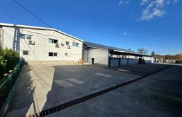 SERVICE AUTO Ultramodern (Business ultraprofitabil 