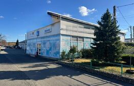 SERVICE AUTO Ultramodern (Business ultraprofitabil 