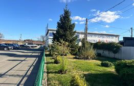 SERVICE AUTO Ultramodern (Business ultraprofitabil 