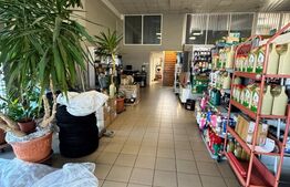 SERVICE AUTO Ultramodern (Business ultraprofitabil 