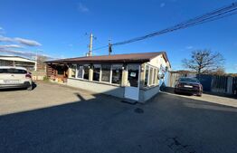 SERVICE AUTO Ultramodern (Business ultraprofitabil 