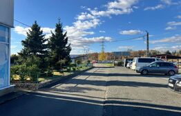 SERVICE AUTO Ultramodern (Business ultraprofitabil 